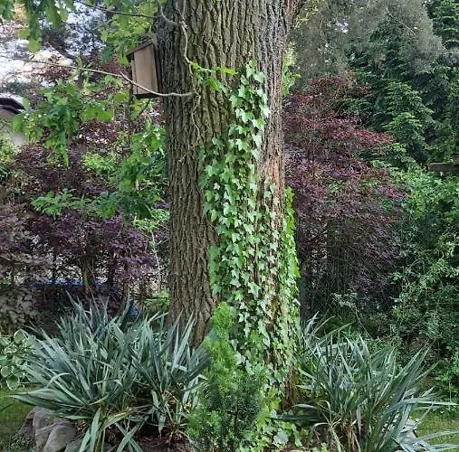 Fort Janowek Janowek