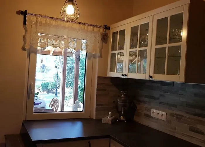 Fort Janowek * Janowek